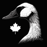 CANADA GOOSE - Camiseta juvenil de algodón pesado